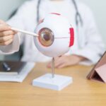 Vision Performance After SILK Surgery — Key Study Insights